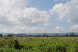 Makonde Plateau von Tansania aus gesehen