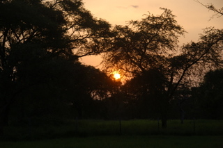 Sonnenuntergang im Ziwa Rhino
