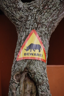 Beware of the Rhino