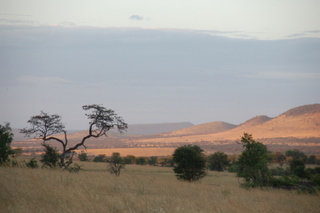 Lobo mit Blick aud die Ngorongoro Conservancy