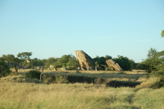 Lobo Aerea Serengeti