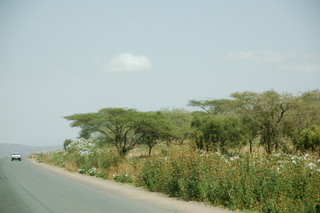 Durch das Maasai Land in den Amboseli