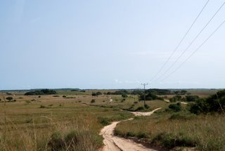 4x4 Track im Maputo Elephant Reserve