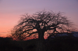 Sonnenuntergang im Baobab Valley Camp