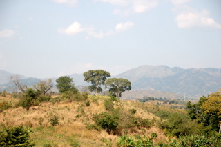 Die Udzungwa Mountains
