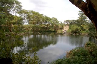 Mzima Spring Tsavo East National Park