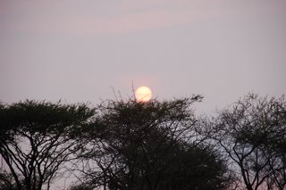 Sonnenaufgang im Tsavo East National Park