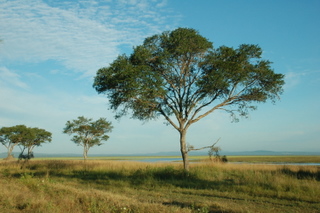 Im Katavi National Park