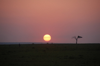 Sonnenaufgang am Lake Naivasha