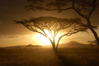 Sonnenuntergang in der Serengeti