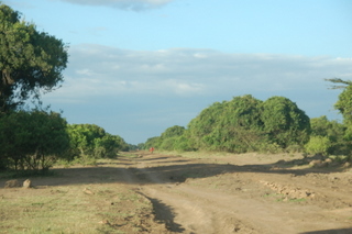 Strae bei der Maasai Mara