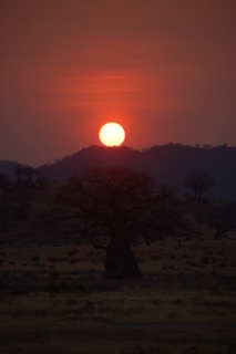 Sonneuntergang in Tansania