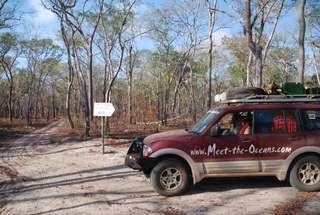 Pictures (c) BeeTee - Mosambik - Reserva do Gile - Mulevala - Maria - Parque Nacional Gorongosa - Caia