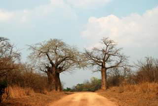 Pictures (c) BeeTee - Mosambik 
