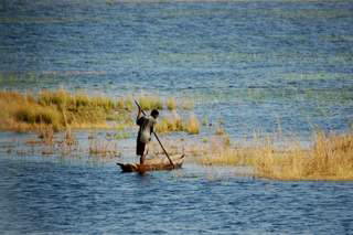 Picture (c) BeeTee - Botswana - Chobe Riverfront