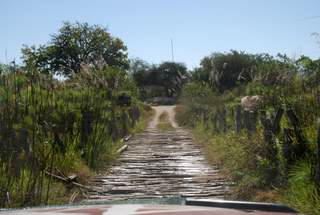 Picture (c) BeeTee - Botswana - Moremi GR - Third Bridge