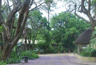 Pictures (c) BeeTee - South Africa - Kruger National Park - Hazyview