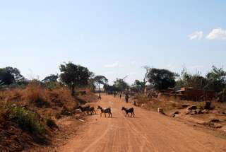 Pictures (c) BeeTee - Malawi - Malawi-See - Nkhotakota