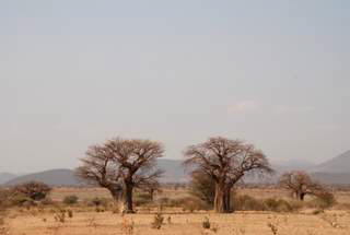 Pictures (c) BeeTee - Tansania - Dodoma - Daressalam