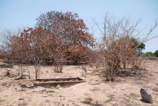 Pictures (c) BeeTee - Mosambik - Pemba